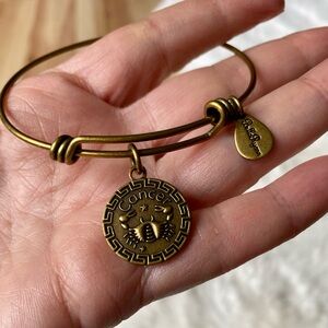 NWOT Bella Ryann Zodiac bracelet sign of Cancer